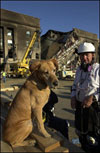 Photo of resuce dog and US&R team member standing in front of Pentagon.