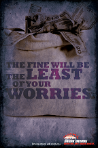 The fine will be the LEAST of your WORRIES.