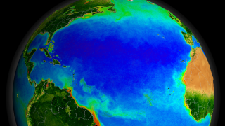 Print resolution picture of SeaWiFS global biosphere over the Northern Atlantic.