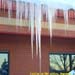 icicles