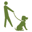 Walking dog on leash