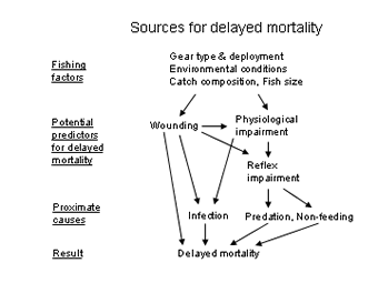 A conceptual diagram of factors contributing to delayed mortality