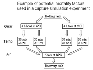 Experiment with potential mortality factors