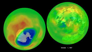 Ozone in the northern and southern hemisphere as measured by Earth Probe TOMS on 10-1-1997
