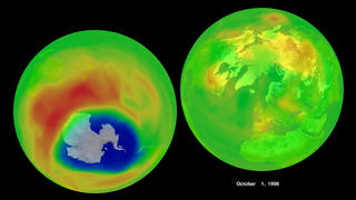 Ozone in the northern and southern hemisphere as measured by Earth Probe TOMS on 10-1-1998