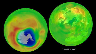 Ozone in the northern and southern hemisphere as measured by Earth Probe TOMS on 10-1-1999