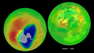 Ozone in the northern and southern hemisphere as measured by Earth Probe TOMS on 10-1-2000