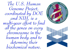 DOE and NIH HGP logos