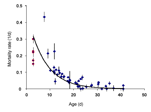 age-specific mortality rate