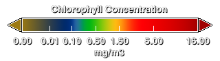 This colorbar denotes the values of the chlorophyll concentration.