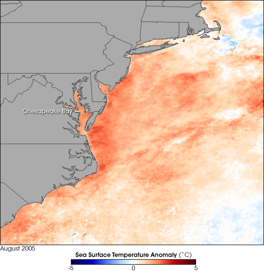 Warm Waters in the Chesapeake