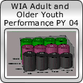 WIA Adult and Older Youth Performance PY 04