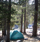 Campsite in Devils Postpile National Monument's campground