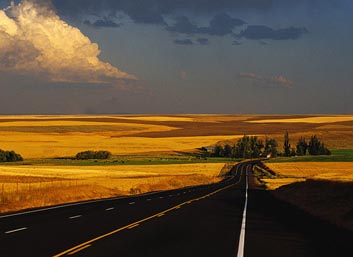 Picture of a country road