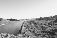 Tamarisk-dominated riparian vegetation on the Lower Colorado River, Imperial National Wildlife Refuge. (P. Shafroth/USGS)