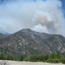 Smoke from a small prescribed burn at the base of sequoia trunks.