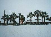 2004 Christmas Eve Snowstorm in South Texas