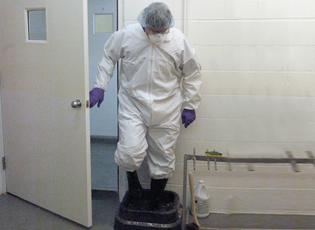 A veterinarian prepares to enter an exam room.