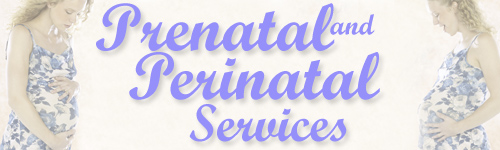 Prenatal and Perinatal Services