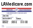 LaMedicare.com information