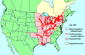 U.S. map of Zebra mussel distribution