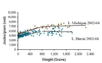 figure: wet:dry ratio vs. energy content of whitefish