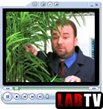 GCN Lab TV screen shot featuring Breeden