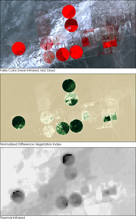 Center-Pivot Irrigation in Railroad Valley, NV