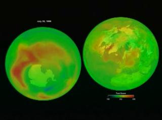 Ozone in the northern and southern hemispheres as measured by Earth Probe TOMS from 7-26-1996 to 11-4-2001
