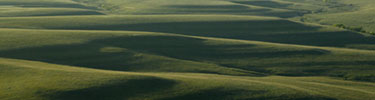 The beauty of the Flint Hills