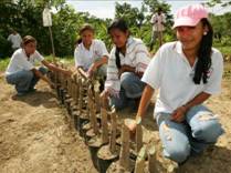 Participants of USAID’s alternative development activities