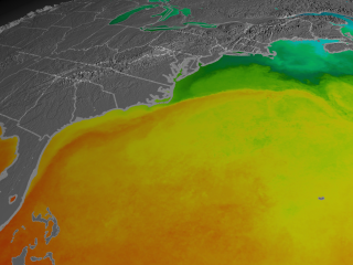 The Gulf Stream reflected in SST data.  This data is an average from September 22, 2006 to October 23, 2006.