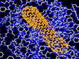 Rotating Nanotech Images - Copyright © NASA Ames Center for Nanotechnology