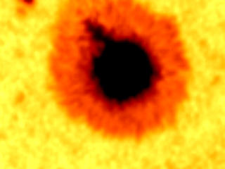 A close-up view of the sunspot in the region of interest.