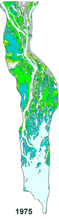 Pool 8 1975 land cover use map