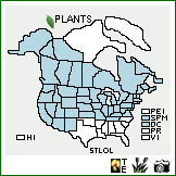 Distribution of Stellaria longifolia Muhl. ex Willd. var. longifolia. . Image Available. 