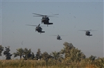 BLACK HAWKS - Click for high resolution Photo