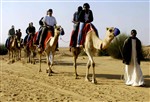 CAMEL RIDE - Click for high resolution Photo