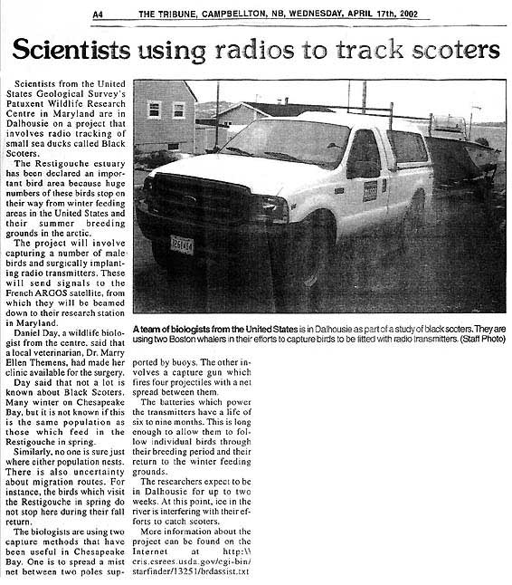Graphic of newspaper article on radio tracking scoters from New Brunswick Tribune, April 17, 2002