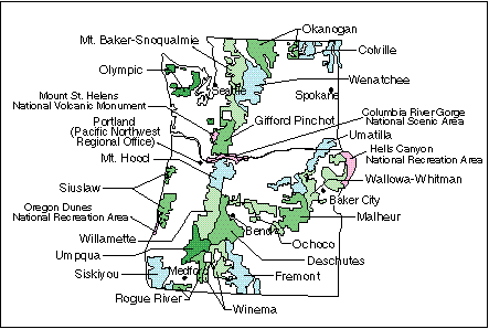 Map with forests outlined and labeled