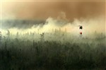 AERIAL FIREFIGHTING - Click for high resolution Photo