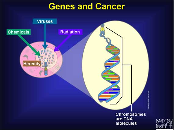 Genes and Cancer