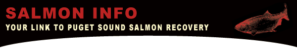 Banner for SalmonInfo - Your Link to Puget Sound Salmon Recovery