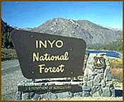 [Photo]: Inyo National Forest sign at Tioga Pass road