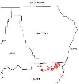 In 1999, defoliation occurred in Baker County in northeastern Oregon; map by Mike McWilliams, Oregon Department of Forestry