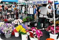 Des Moines Farmers Market