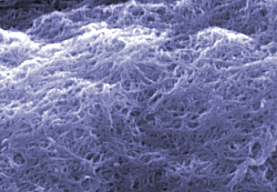 'cleaned' carbon nanotubes