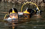 NAVY DIVERS - Click for high resolution Photo