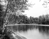 [Thoreau's Cove, Walden, Concord,
Massachusetts]
