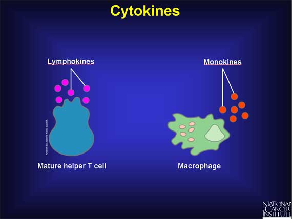 Cytokines